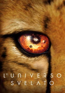 L'universo svelato streaming